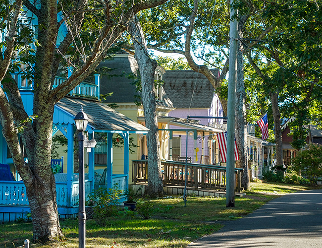 lhc about page lifestyle 1